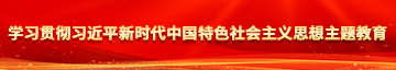 操丰满大白腚学习贯彻习近平新时代中国特色社会主义思想主题教育